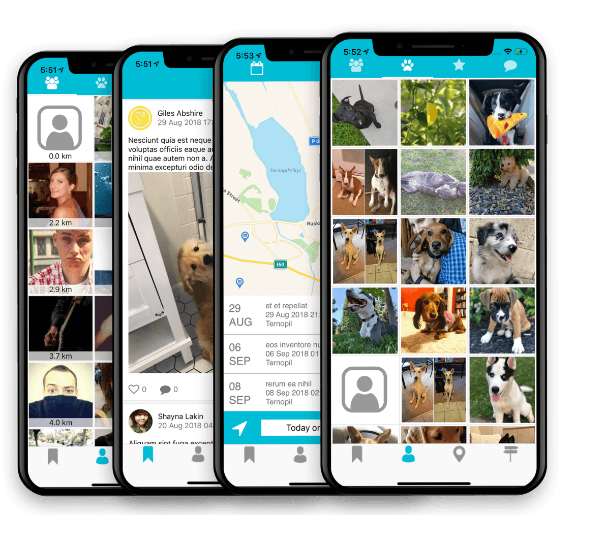 Screenshot of the Dogify social app for dog owners